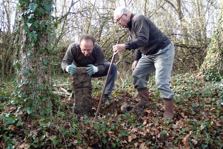 Borne N° 17 plantation (1)